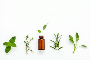 a photo of plants and essential oils