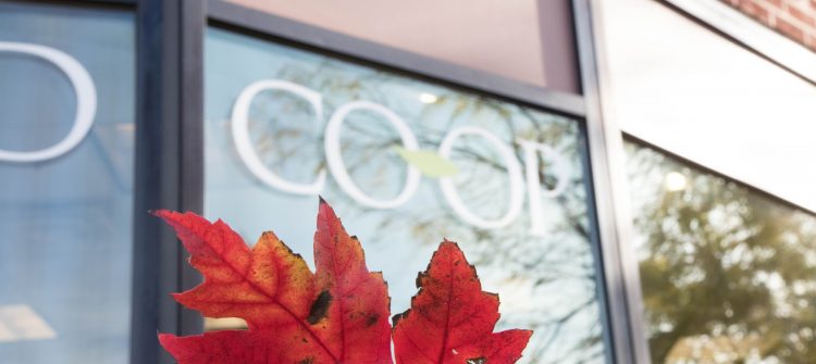 a photo of the Co-op window with a red leaf