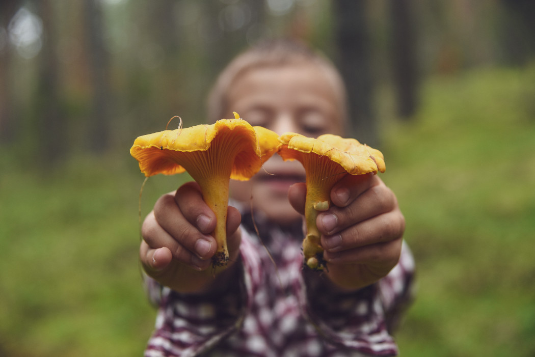 a child holding out two mushrooms