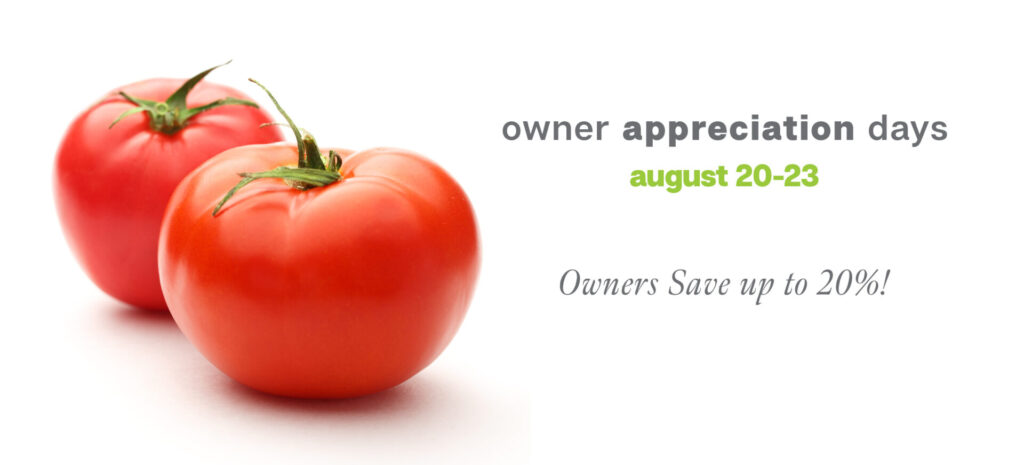 oad isolated web aug2026